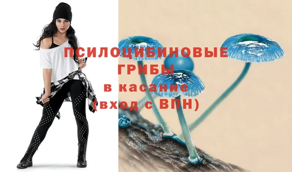 спайс Касимов