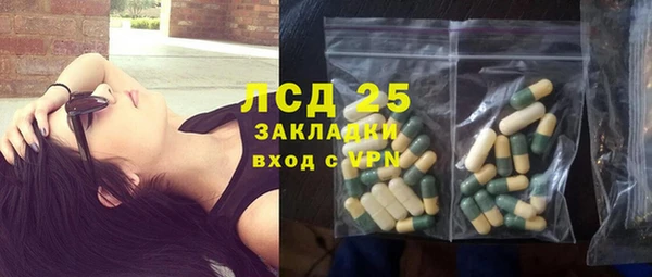 трава Карпинск