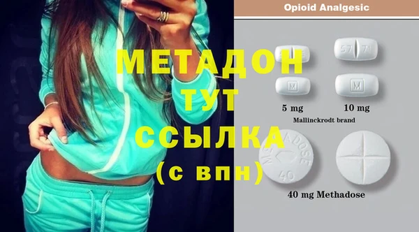 трава Карпинск