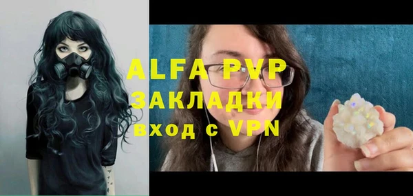 трава Карпинск