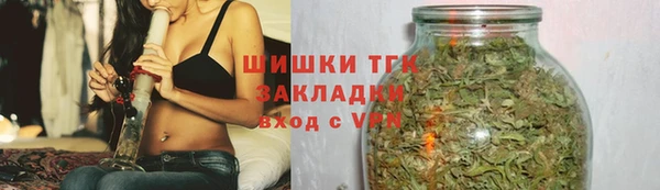 трава Карпинск