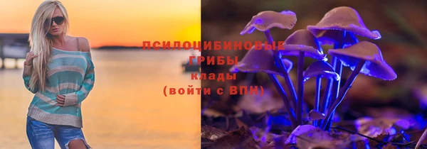 трава Карпинск