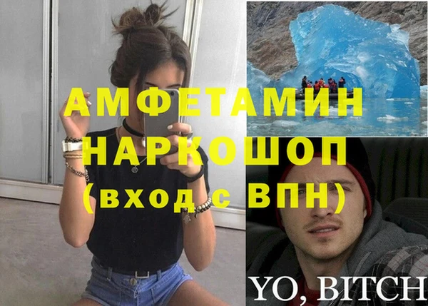 трава Карпинск
