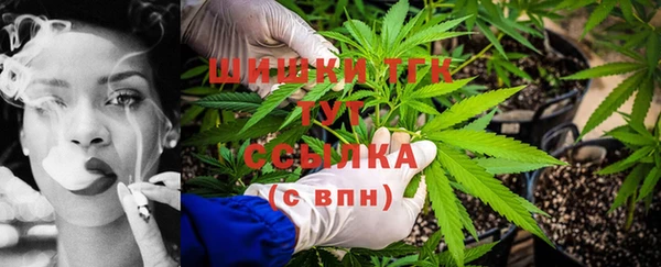 трава Карпинск