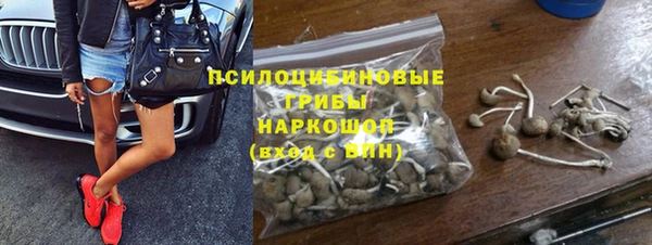 спайс Касимов
