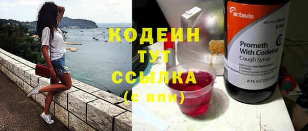 трава Карпинск