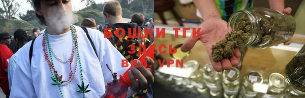 трава Карпинск
