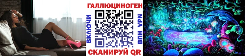 Купить закладки  Шенкурск  Галлюциногенные грибы Psilocybe 